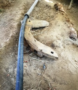 What remains of the Escalay