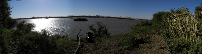 View of the Nile from Sarkamatto