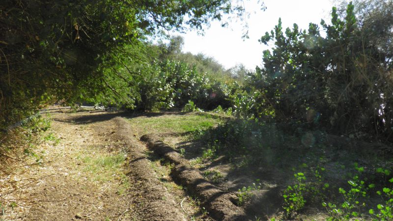 Sarkamatto Sarkamatto