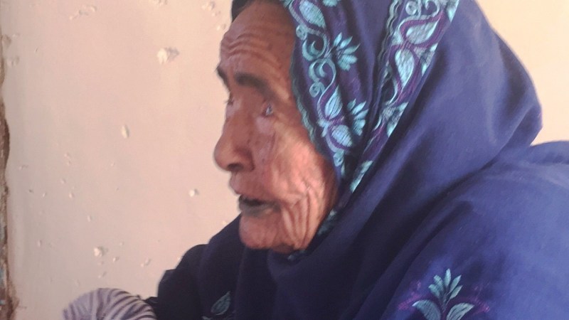 The Hungarian Kendaka The Hungarian Kendaka